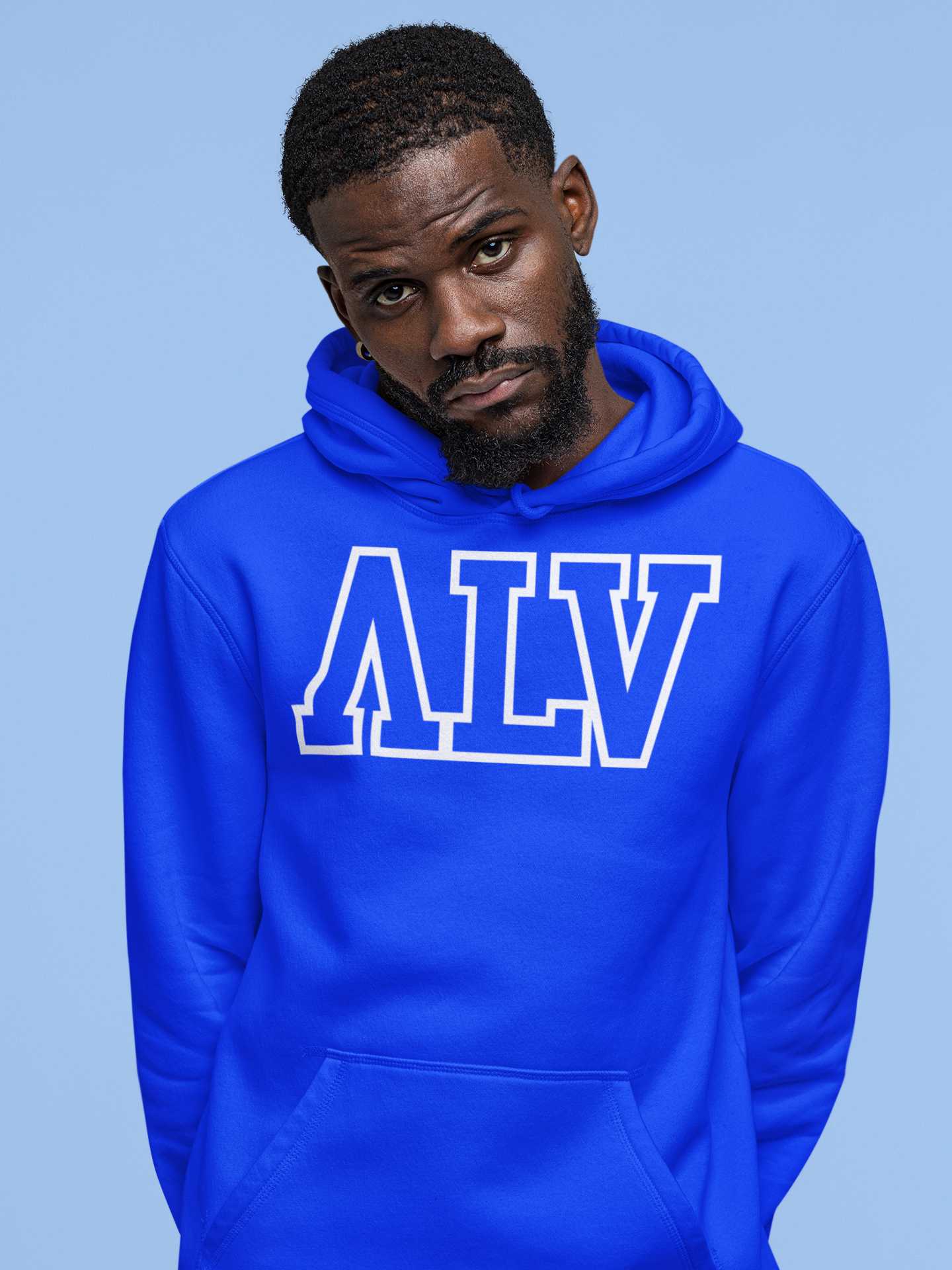 ALV BLUE HOODIE